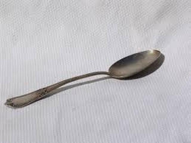 Silver Spoon 13” Serving Piece - Flatware