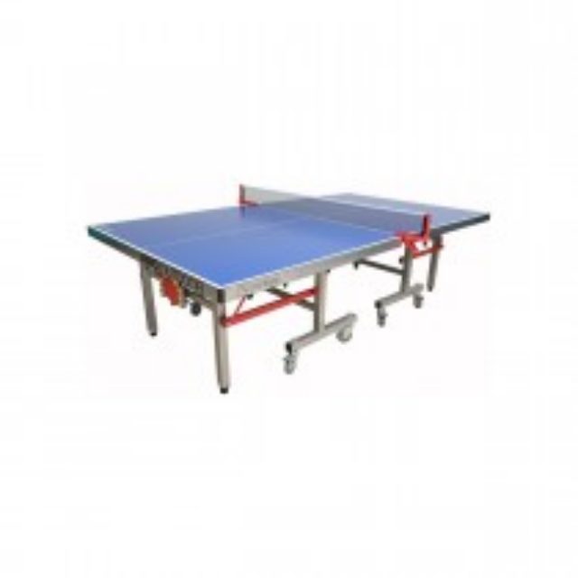 Ping Pong Table