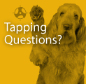 Tapping Questions